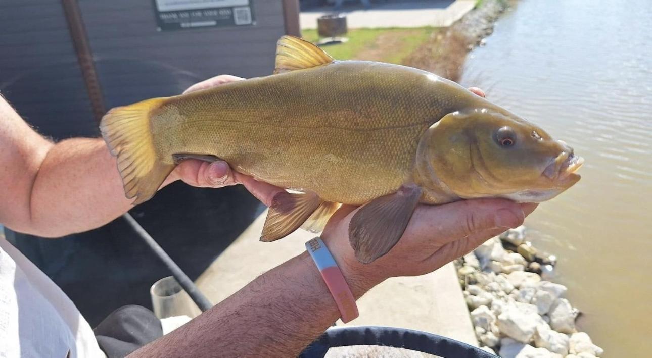 Lakeside Fishing Retreats Boston Room photo