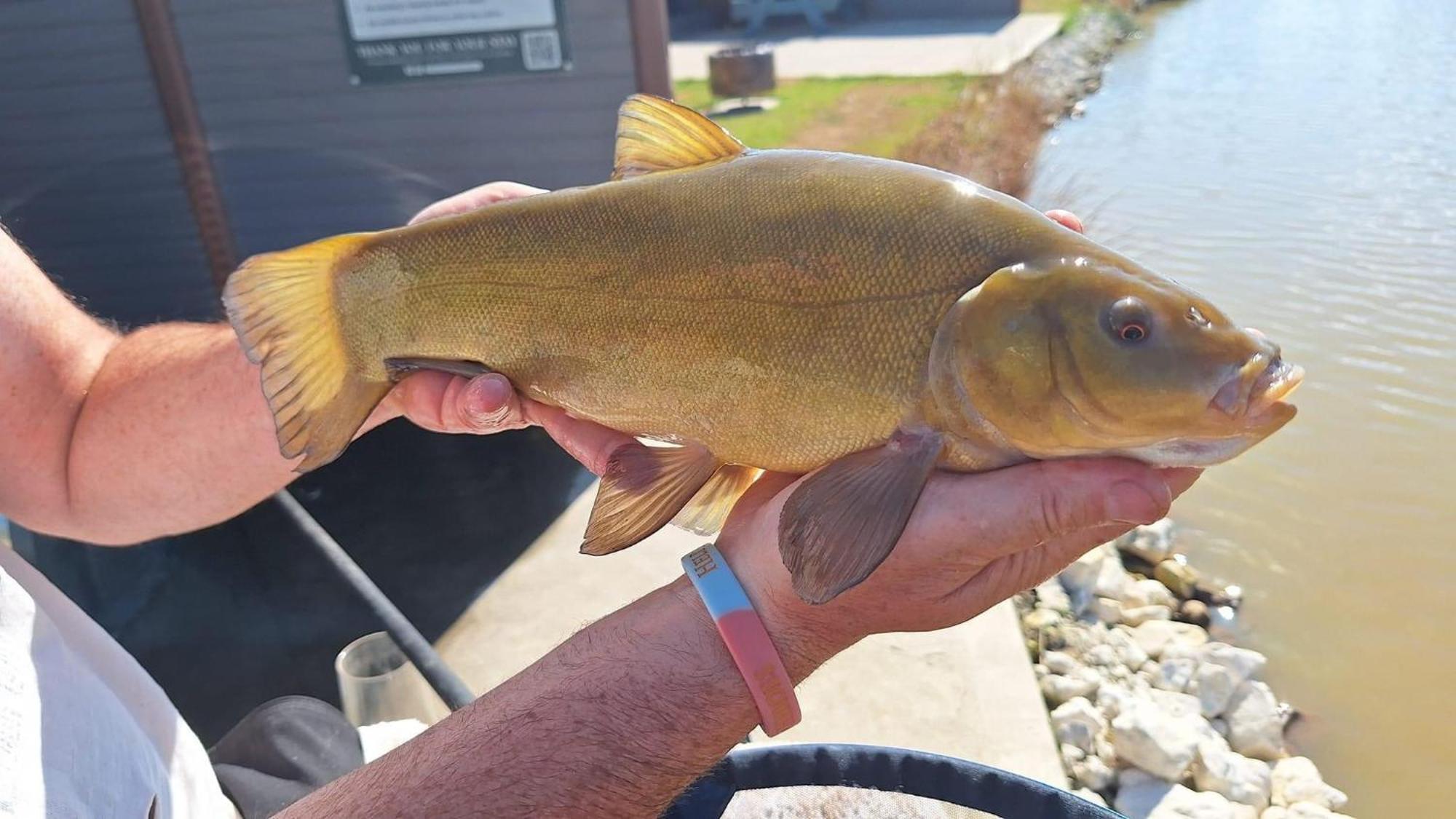 Lakeside Fishing Retreats Boston Room photo