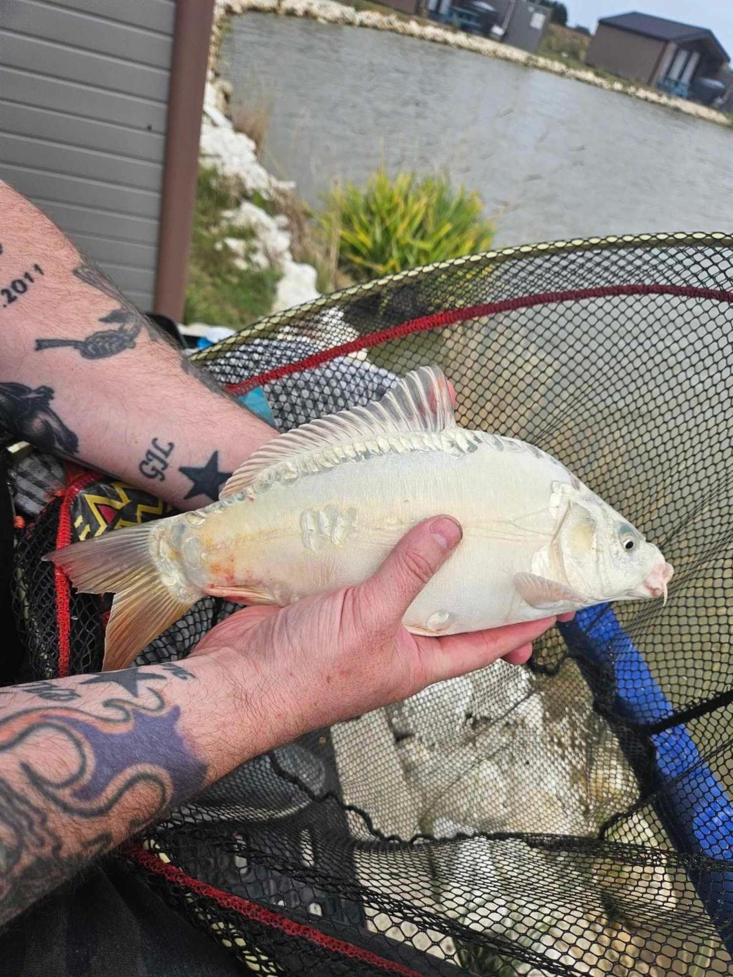 Lakeside Fishing Retreats Boston Room photo
