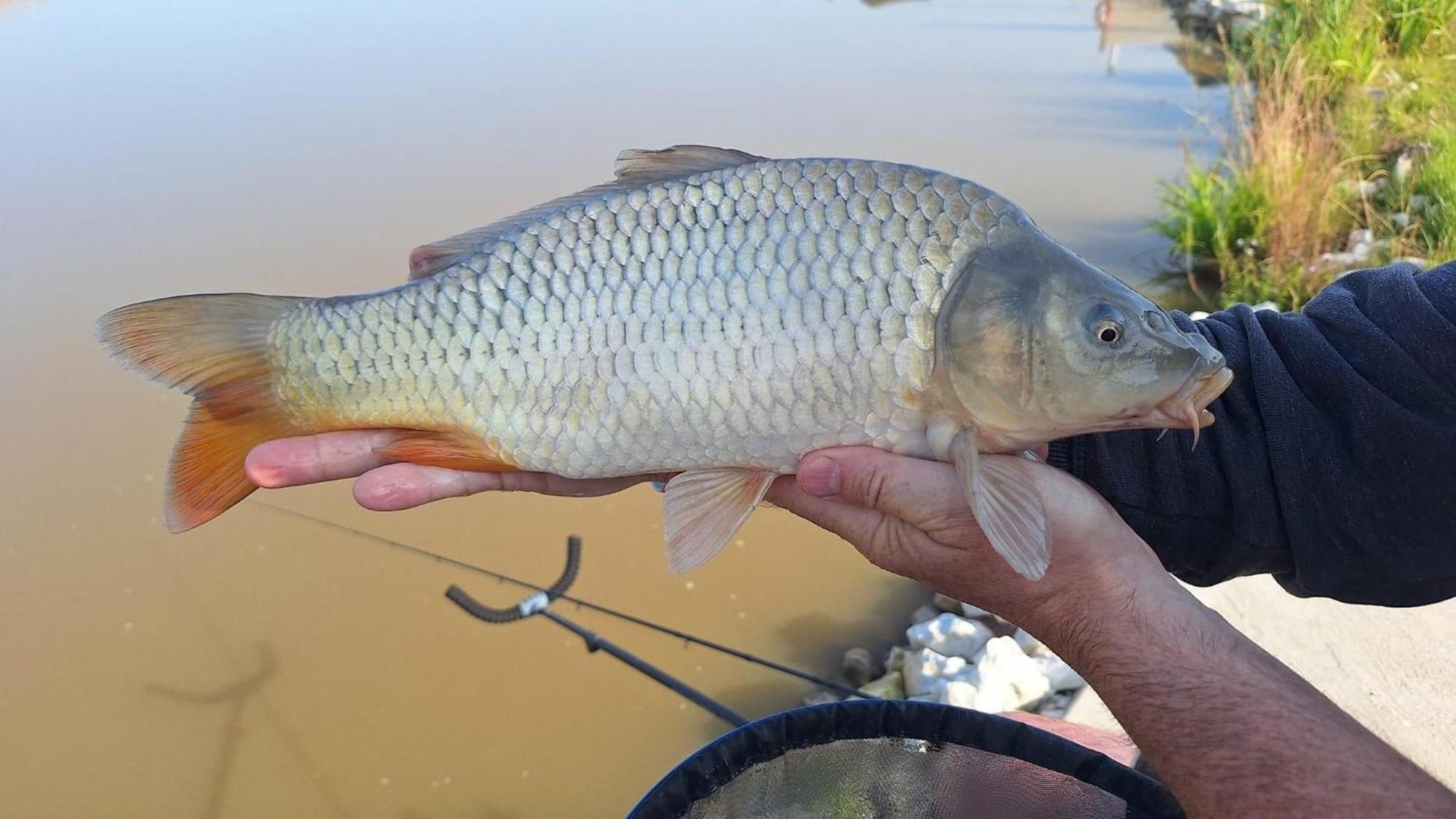 Lakeside Fishing Retreats Boston Room photo