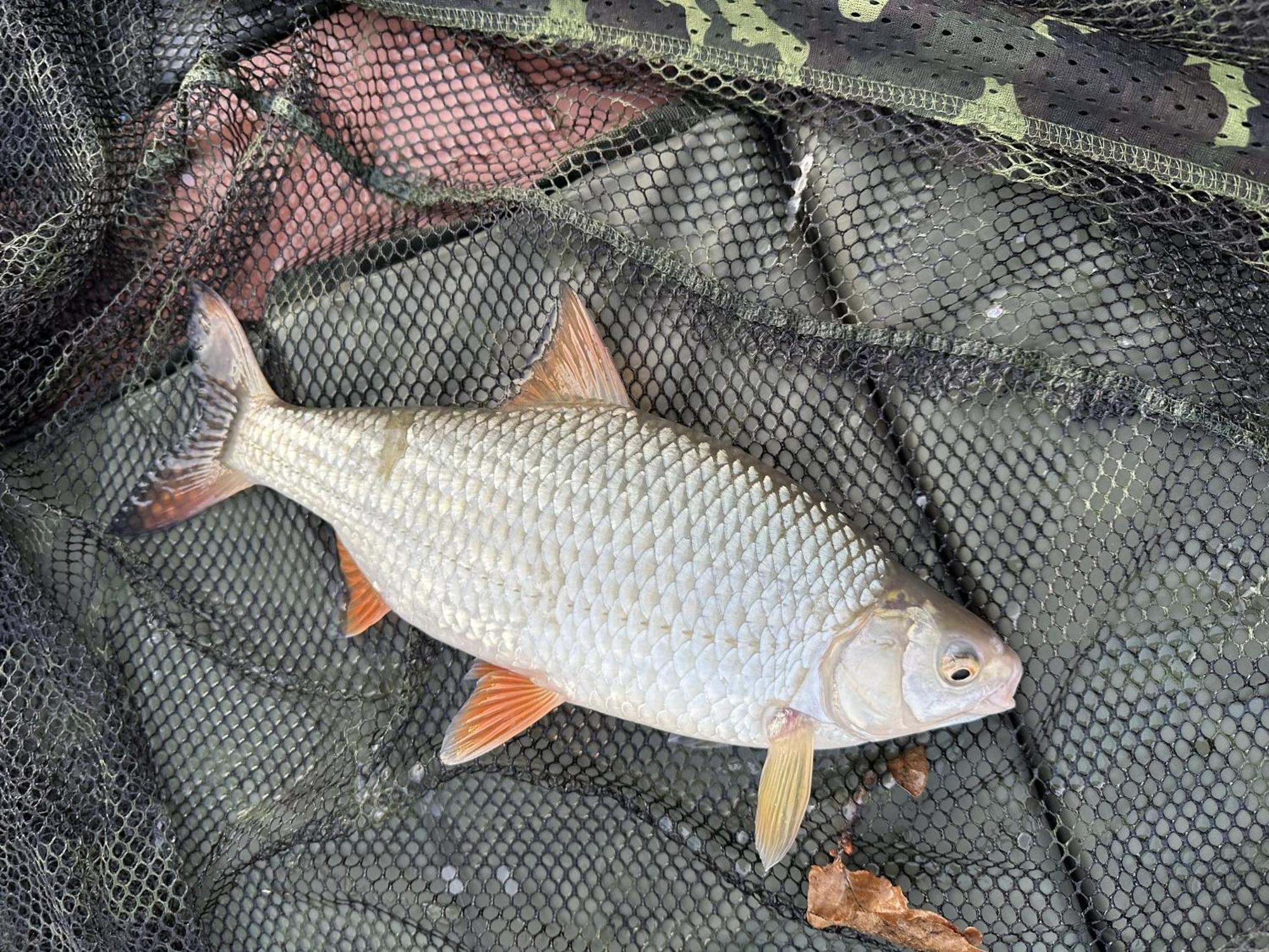 Lakeside Fishing Retreats Boston Room photo